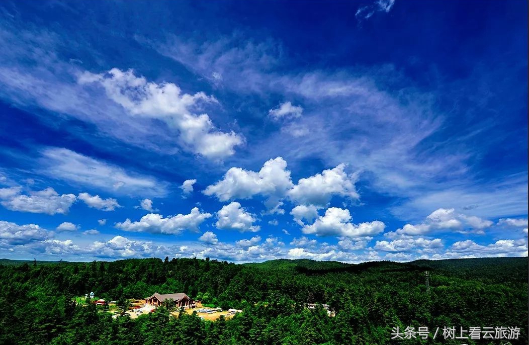 伊春是黑龙江省的一个美丽的城市,伊春有多美