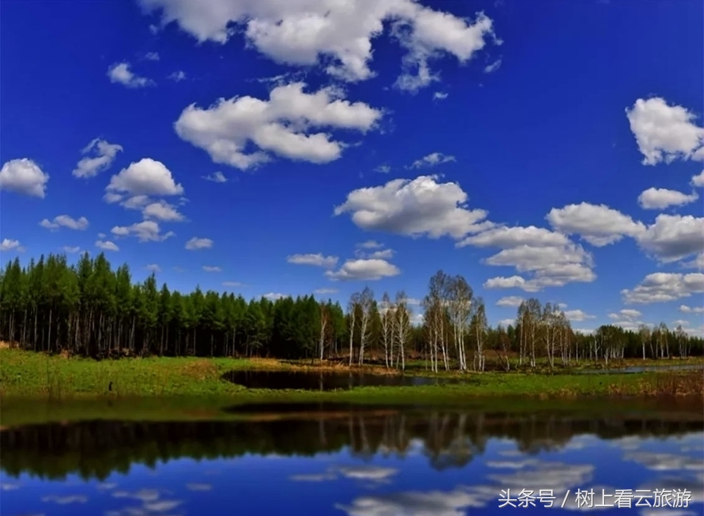 伊春是黑龙江省的一个美丽的城市,伊春有多美