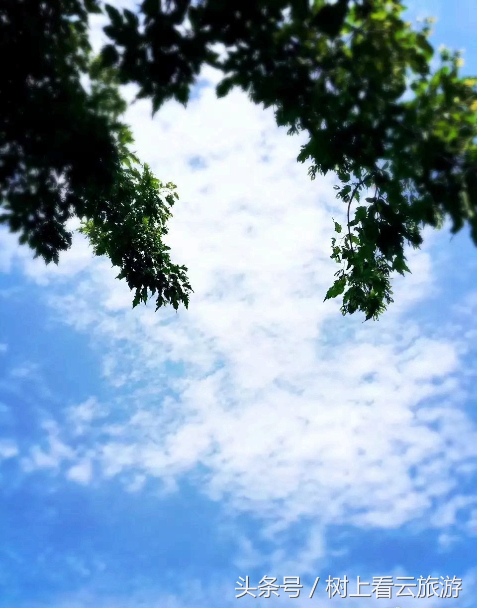 伊春是黑龙江省的一个美丽的城市,伊春有多美