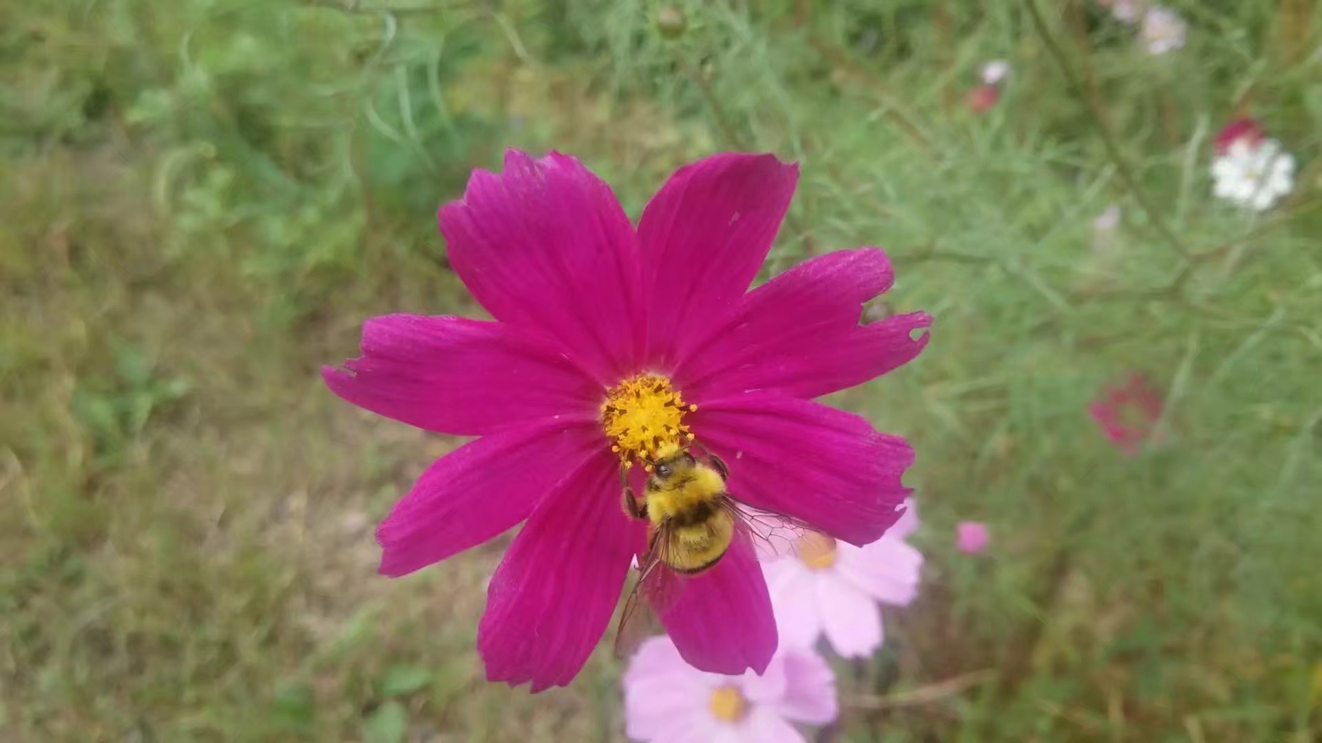 骑车旅游多少钱,骑自行车旅游吃住每天多少钱