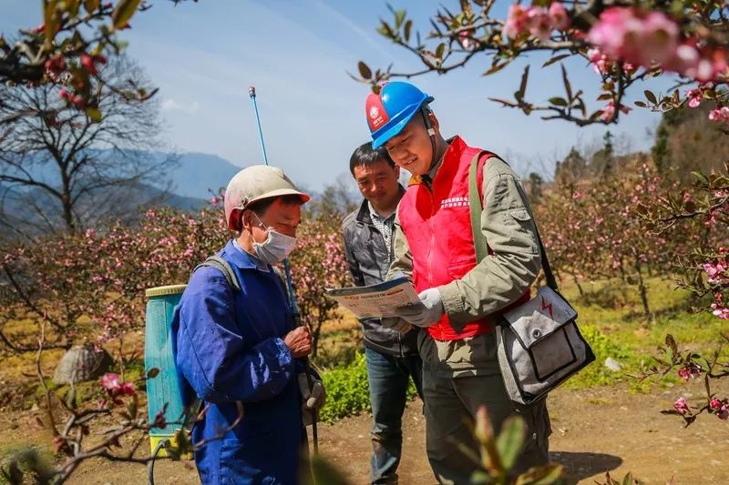 咸宁人：交费、报修……这些跟电有关的事，以后戳戳手机就能解决！