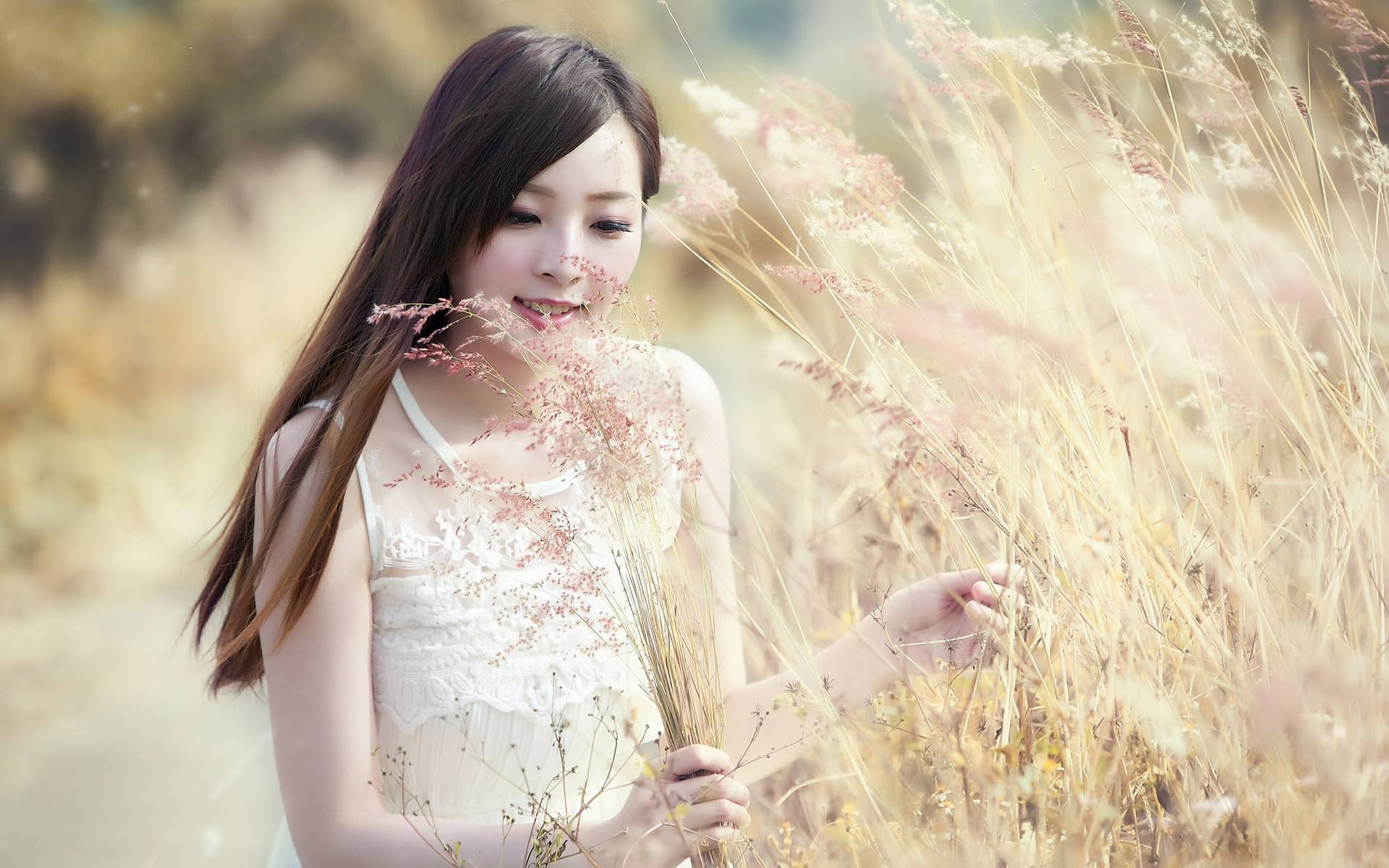 白羊金牛狮子双子双鱼巨蟹,狮子金牛摩羯白羊巨蟹天蝎的性格