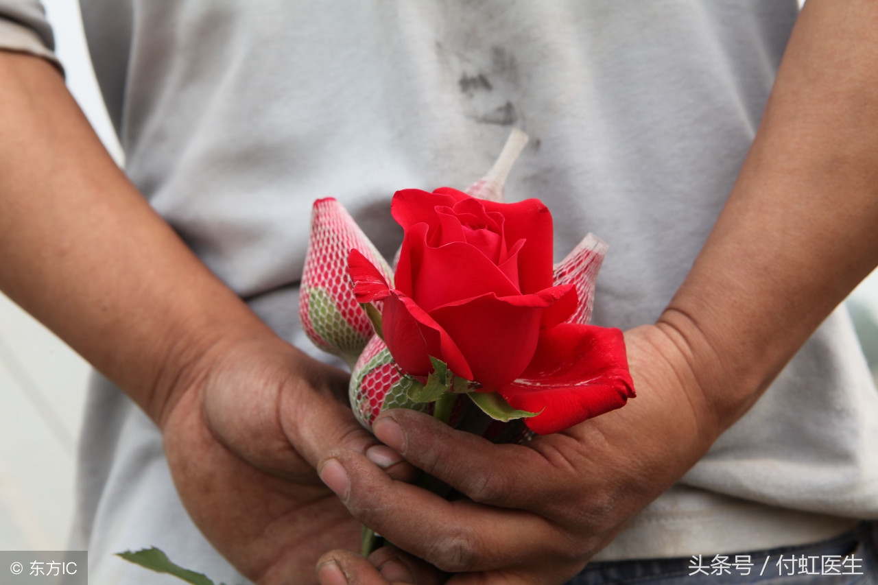 老婆是乙肝病毒携带者我该怎么办,女朋友是乙肝病毒携带者怎么办