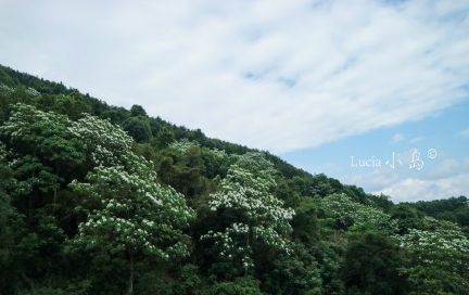 福州2022年5月赏花攻略,福州春季赏花胜地