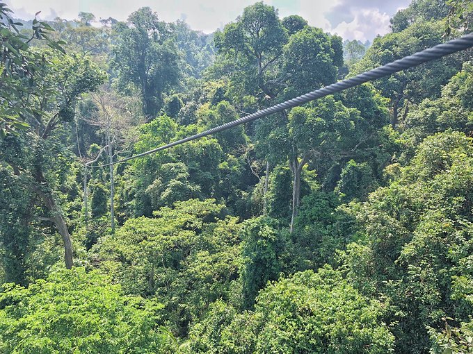 “湿身”一夜芭提雅——不负泰激情