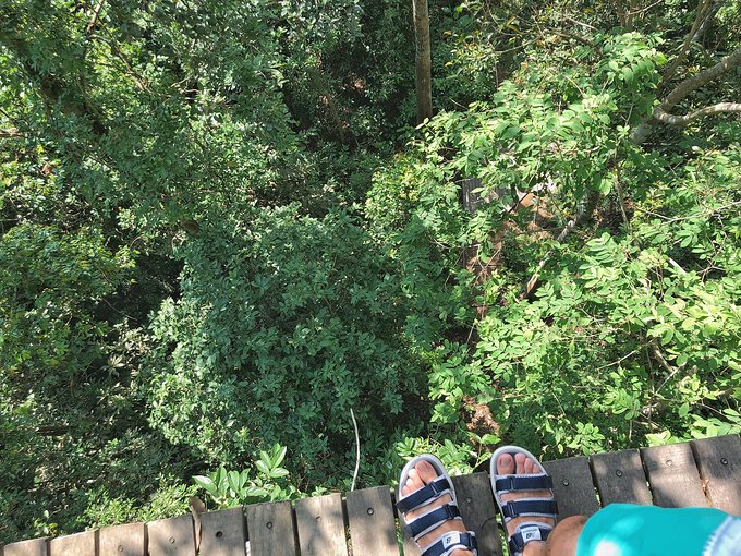 “湿身”一夜芭提雅——不负泰激情