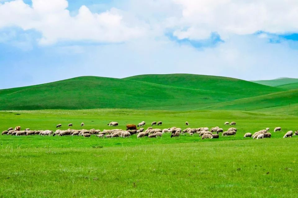 中国十大经典对联大全,中国各地绝妙对联