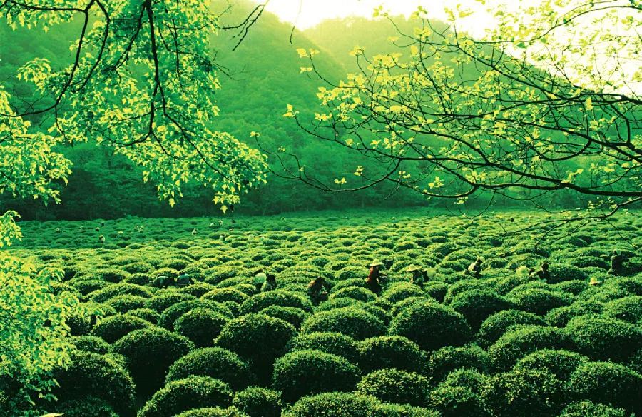 中国十大经典对联大全,中国各地绝妙对联