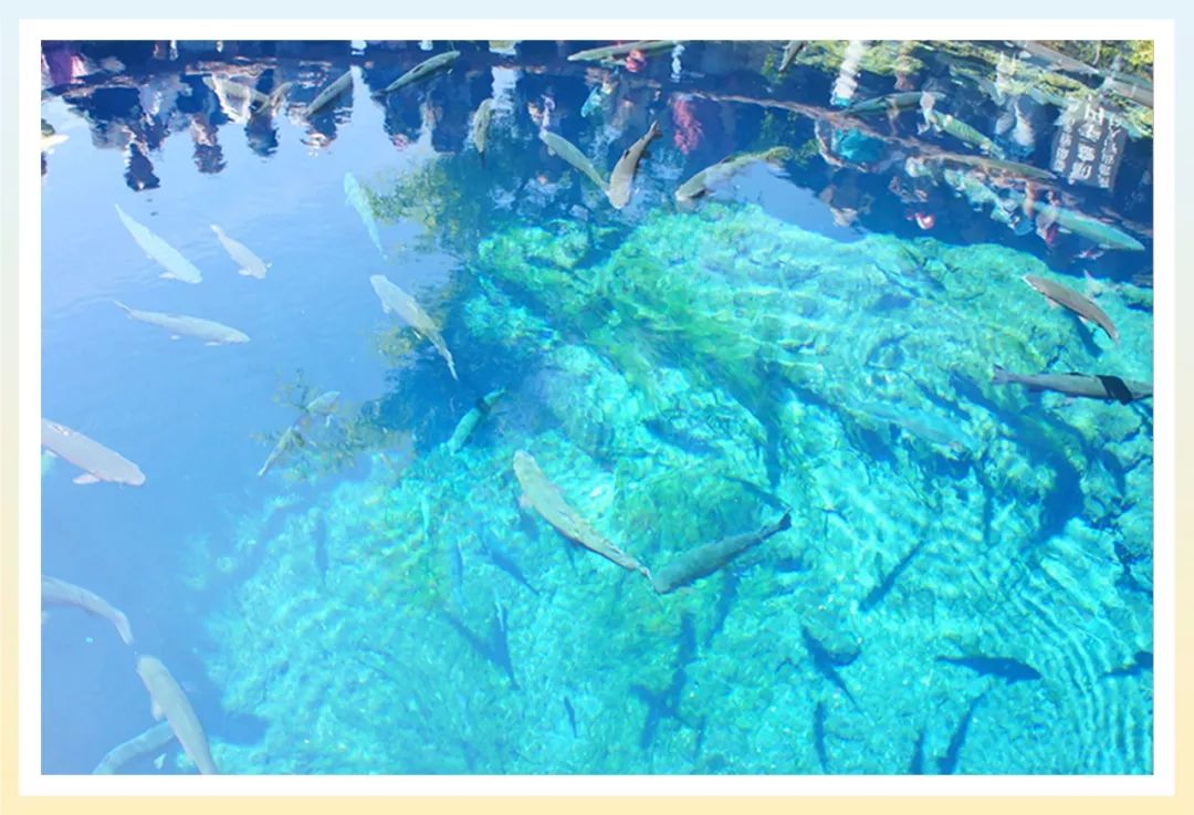 靠谱的日本代购推荐,如何寻找靠谱日本代购