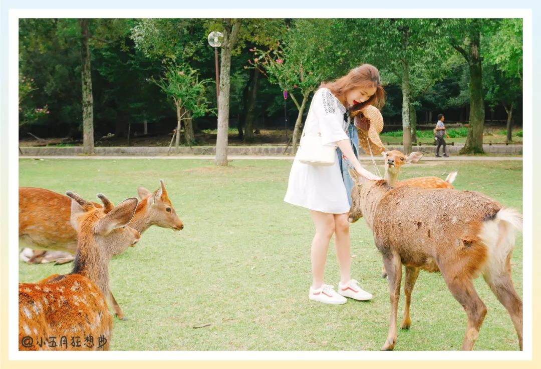 靠谱的日本代购推荐,如何寻找靠谱日本代购