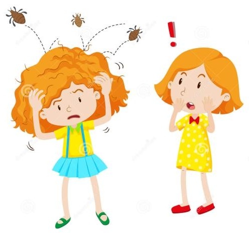 孩子头虱子怎么彻底去除,孩子头虱子怎么来的