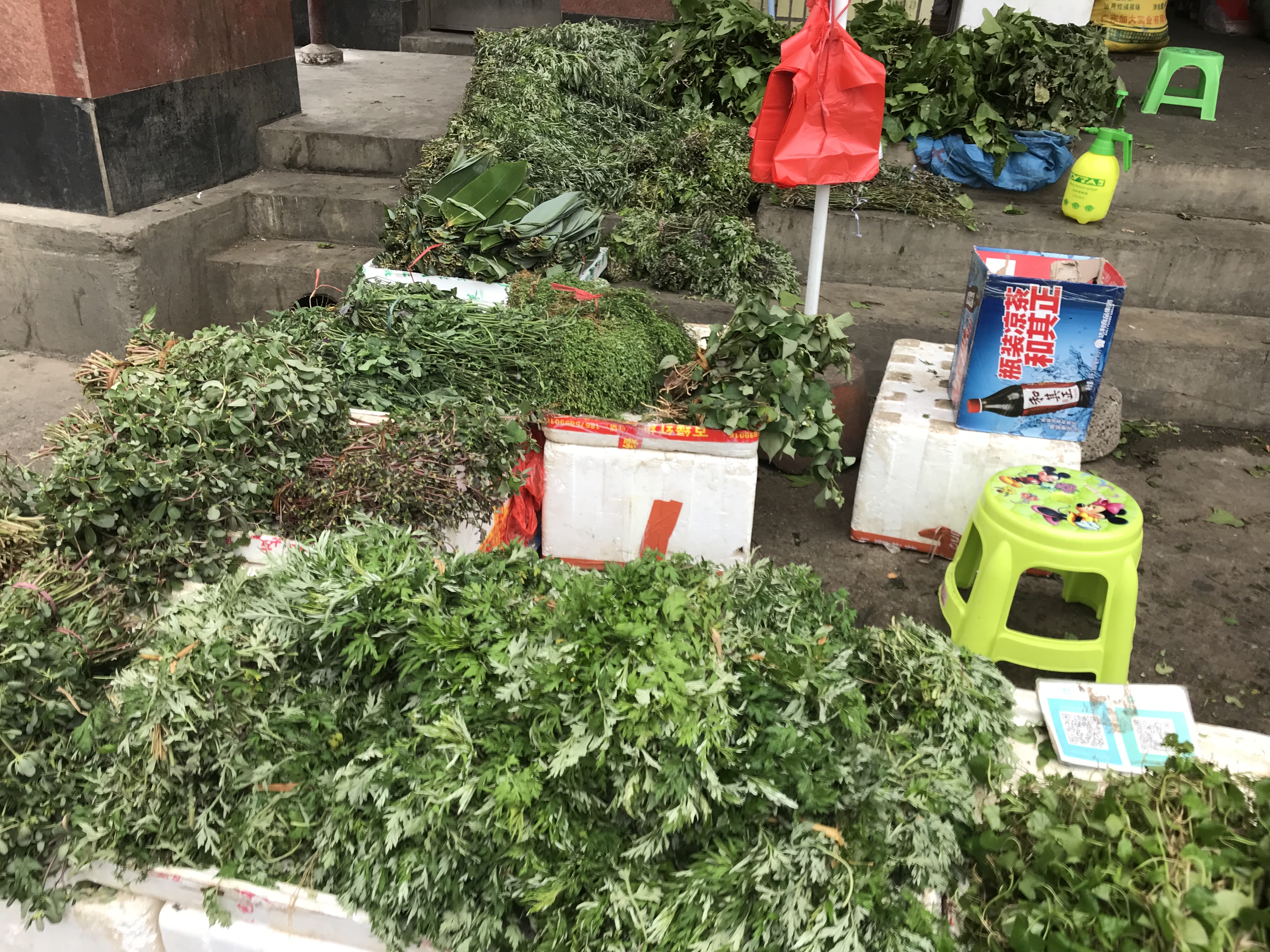 南宁金陵镇水果批发市场今日行情,南宁火车站水果批发市场在哪里