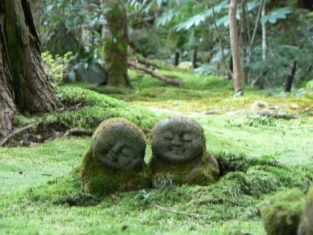 昕薇fm直播间,昕薇抖音