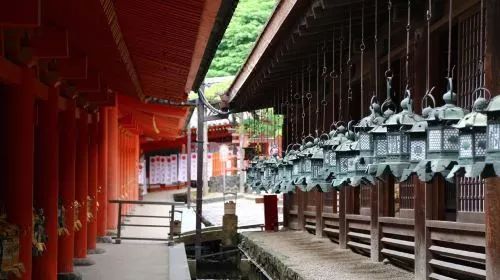 昕薇fm直播间,昕薇抖音