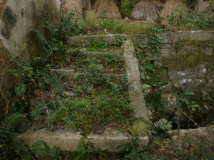 道县古庙,道县荒废古庙