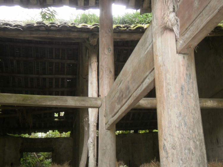 道县古庙,道县荒废古庙