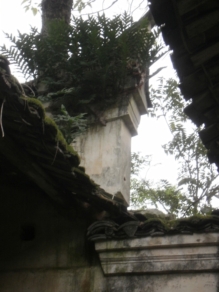 道县古庙,道县荒废古庙