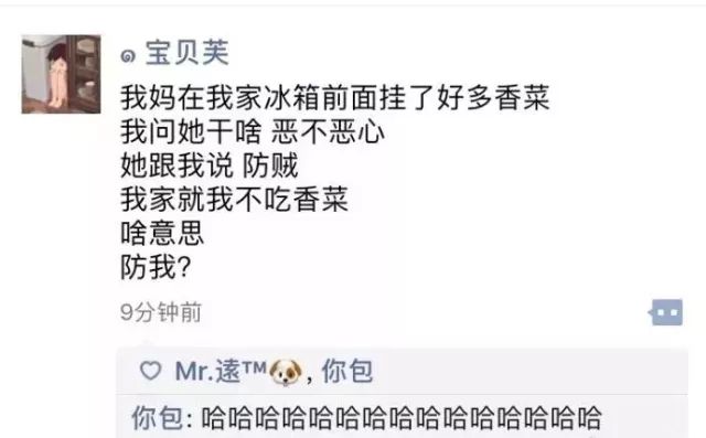 朋友圈截图哈哈哈哈笑到窒息了,笑出腹肌的朋友圈