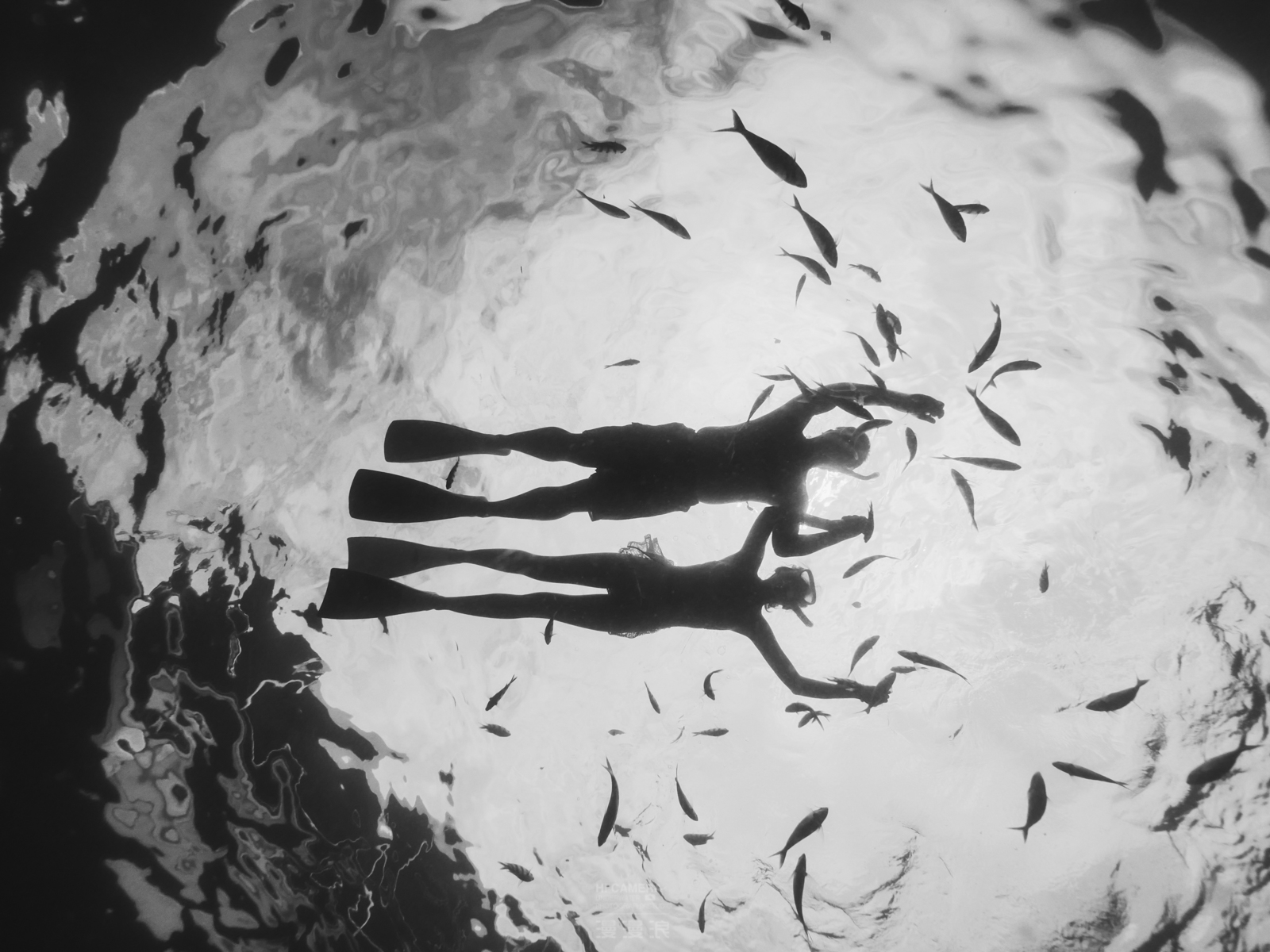 这个夏天的清凉|奔赴西太平洋的一个海岛国家!