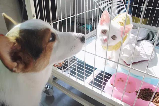 情侣租房装修改造,单身女性租房改造省钱又好看