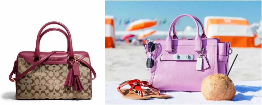 北京女子图鉴吃金钱豹完整版,北京女子图鉴不用vip