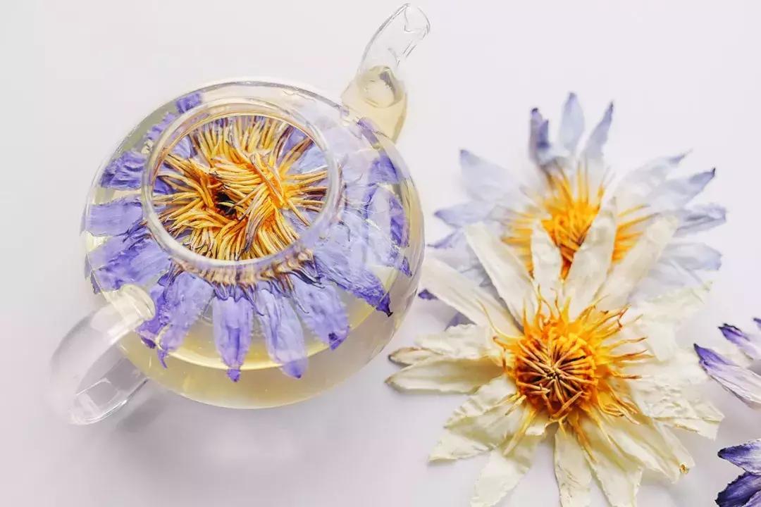 泡莲花茶,玫瑰花莲花茶