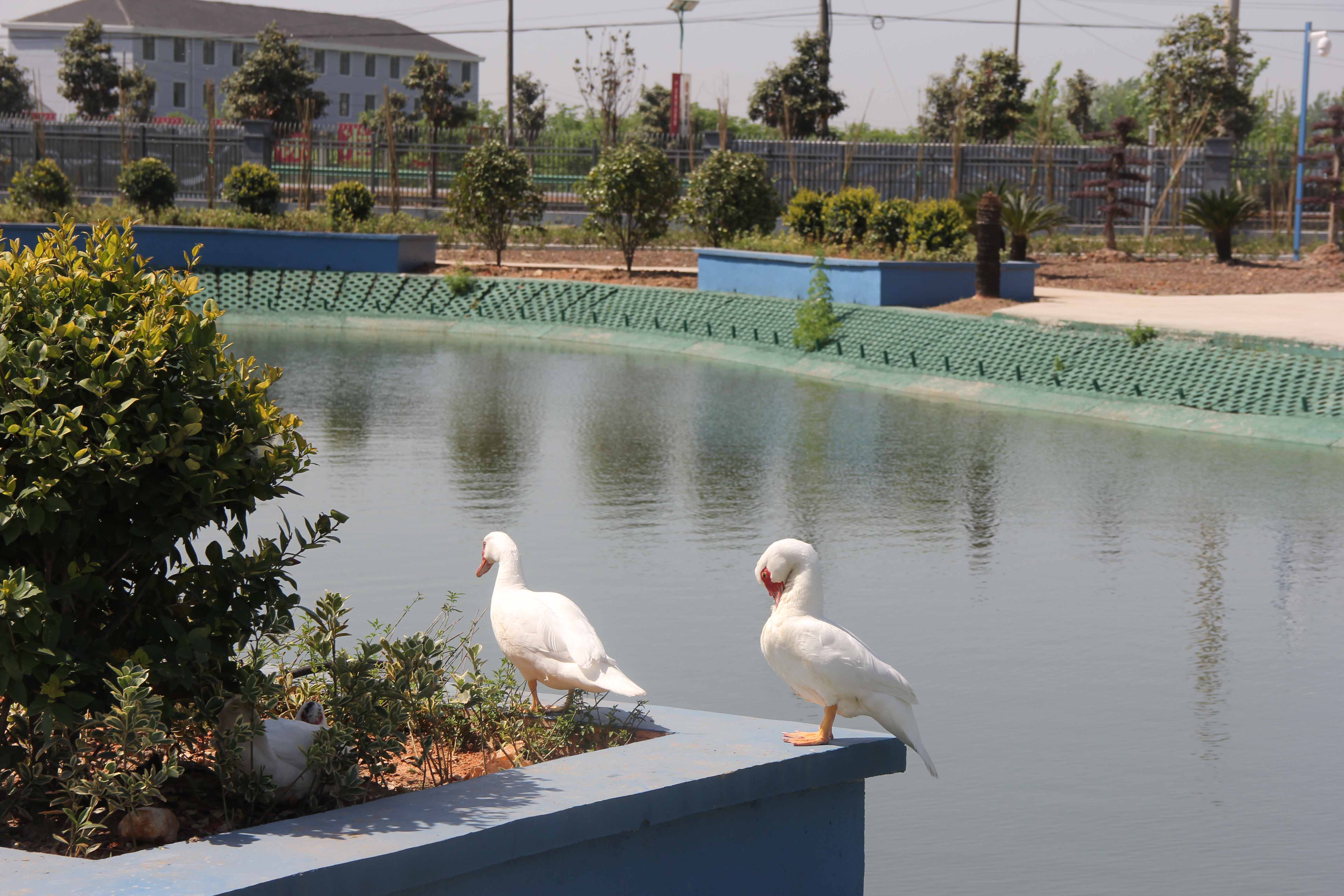 仕全兴,仕全兴涂料有限公司