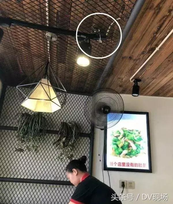 情侣吃面发现虫子后续,情侣吃面发现有虫子后续