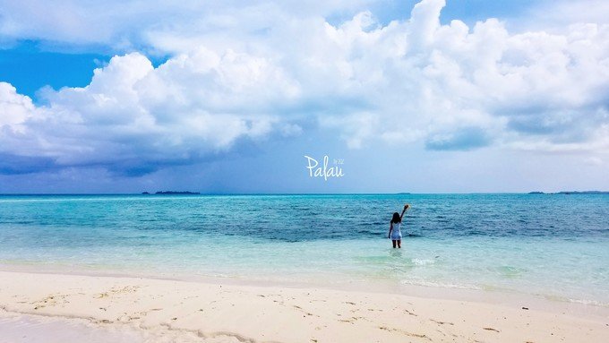 帕劳浮潜一次大概多少钱,帕劳浮潜穿泳衣还是泳裤