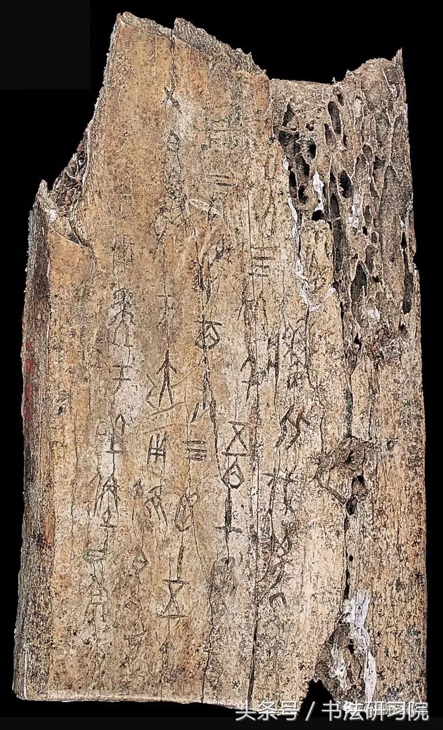 甲骨文书法名家作品欣赏,中国书法甲骨文视频大全