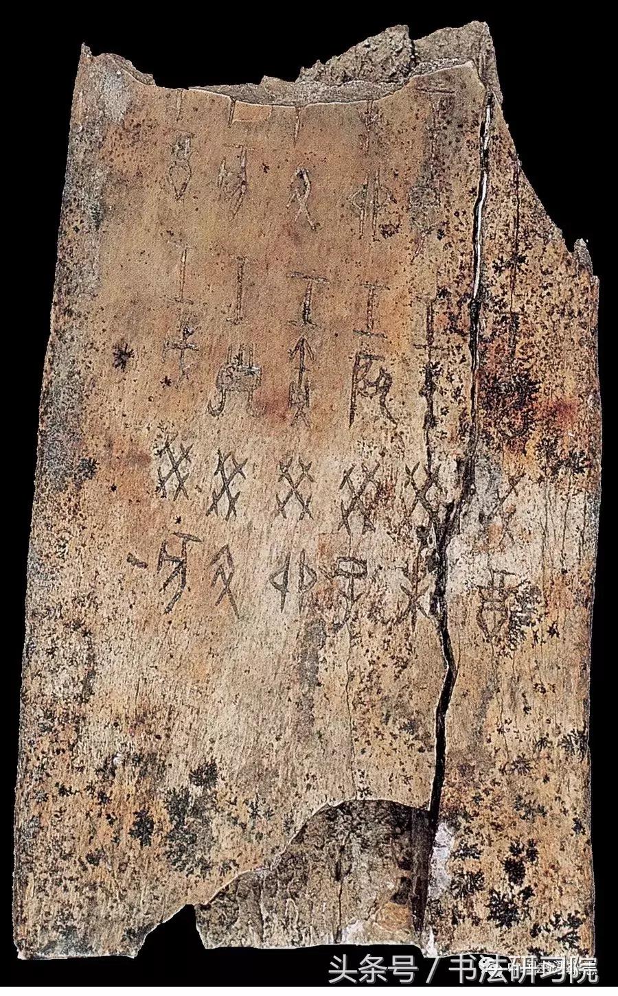 甲骨文书法名家作品欣赏,中国书法甲骨文视频大全