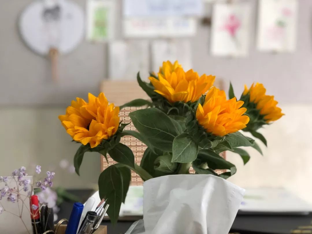 画画没有灵感感到烦躁,画画很烦躁怎么调整心态