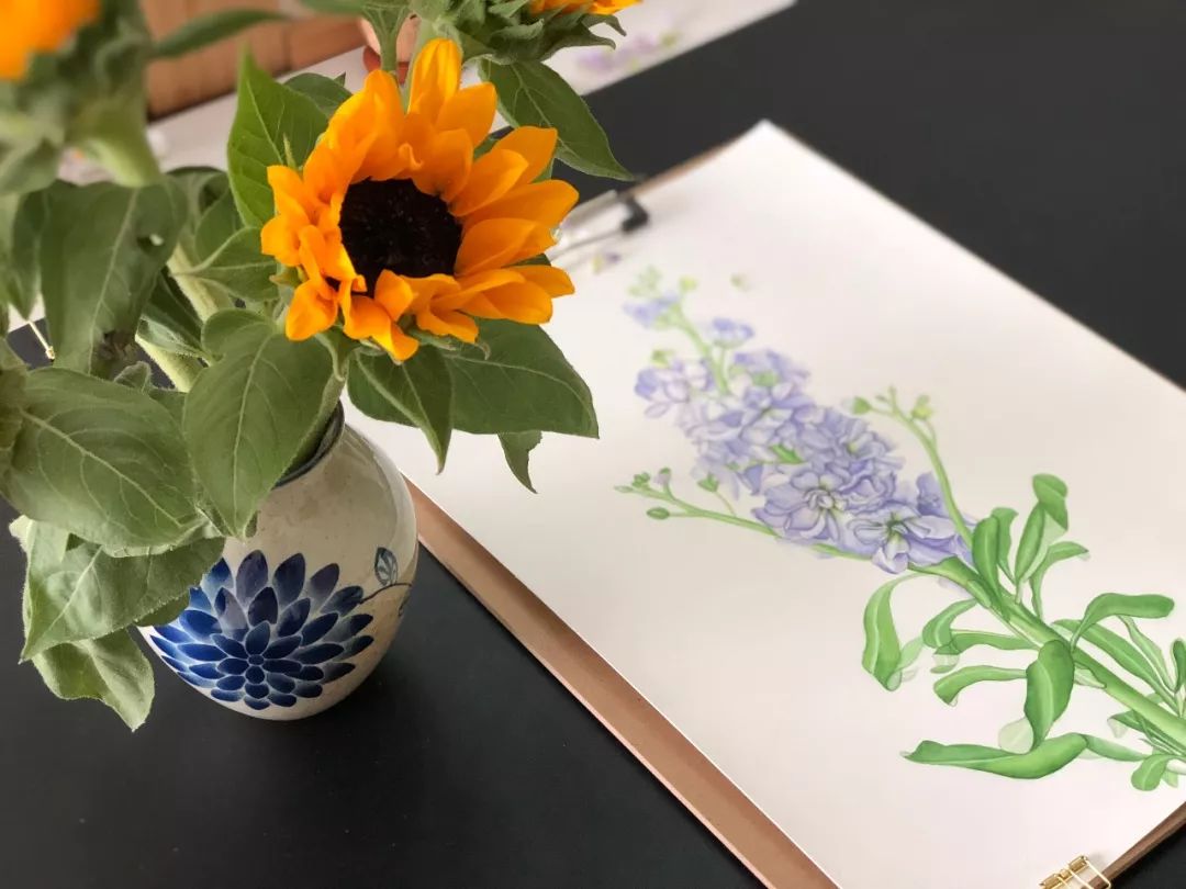 画画没有灵感感到烦躁,画画很烦躁怎么调整心态