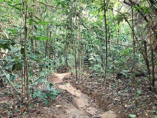 泼水节旅游详细攻略,泼水节应该去曼谷还是芭提雅
