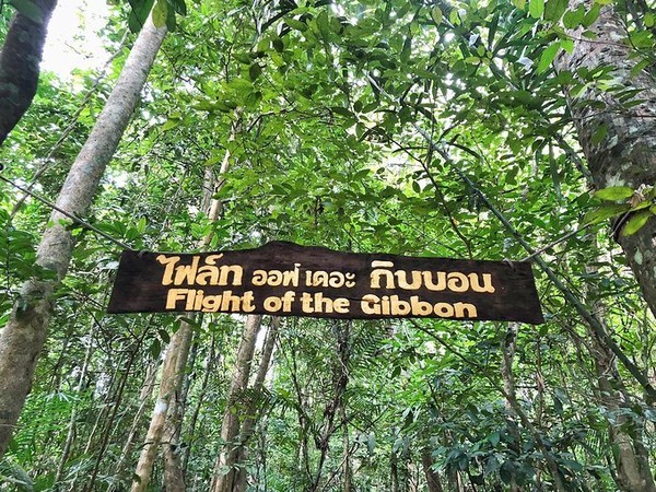 泼水节旅游详细攻略,泼水节应该去曼谷还是芭提雅