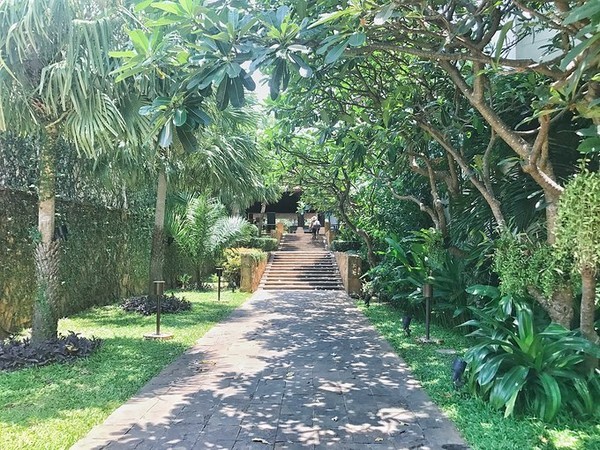 泼水节旅游详细攻略,泼水节应该去曼谷还是芭提雅