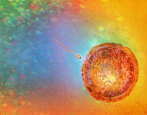 早期怀孕10天的表现,女人刚怀孕怎么发现的