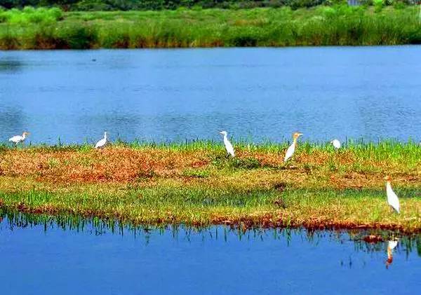 香港旅游必去十大景点2019 (香港旅游攻略免费推荐景点)