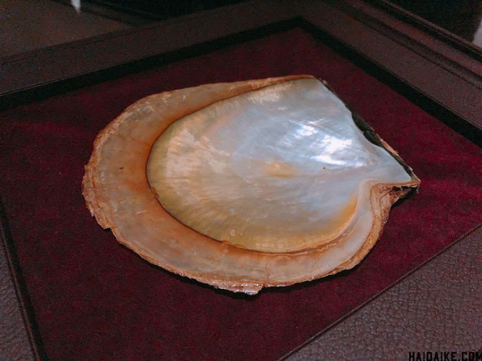 日本mikimoto珍珠首饰,日本现在流行的珍珠项链