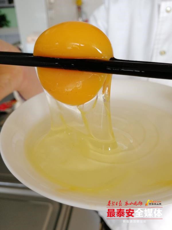 宁阳这位“鸡司令”不简单，用“凤凰蛋”带动一方人致富