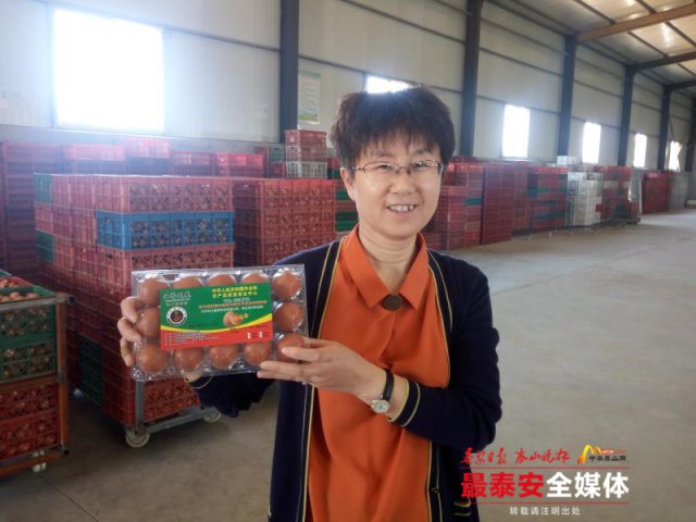 宁阳这位“鸡司令”不简单，用“凤凰蛋”带动一方人致富