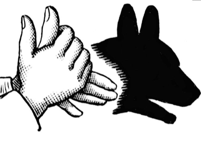 简单的手影游戏的教学,儿童手影游戏