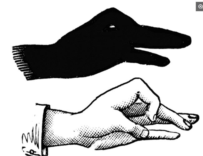 简单的手影游戏的教学,儿童手影游戏