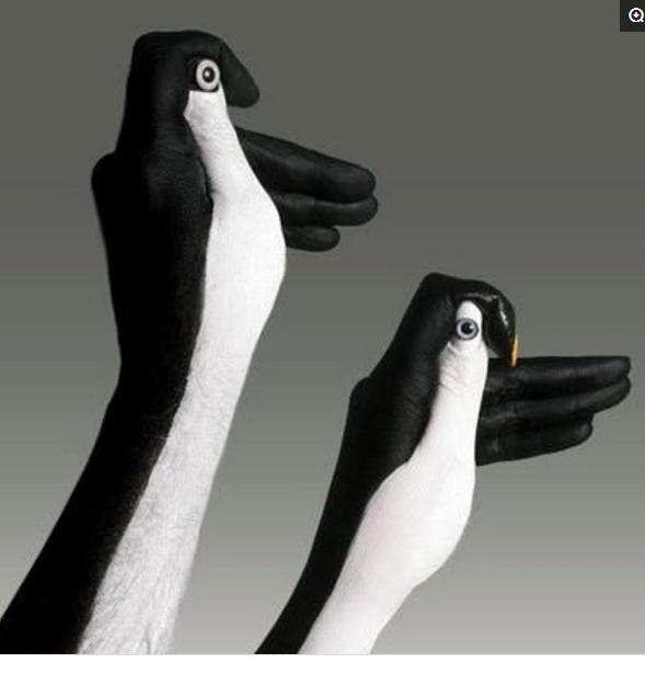 简单的手影游戏的教学,儿童手影游戏