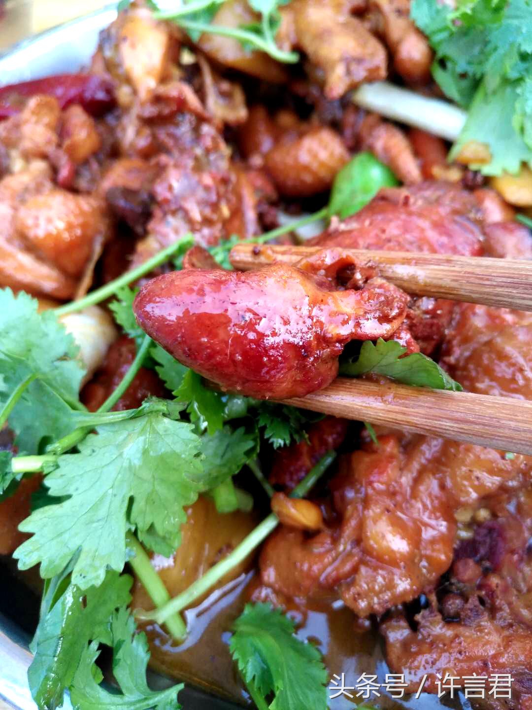 郑州大盘鸡为什么叫西部大盘鸡,西部大盘鸡为啥都不一样