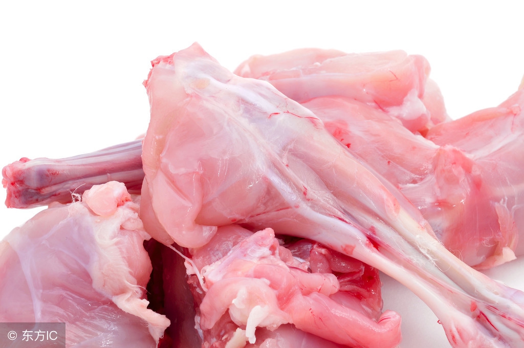 肉兔的饲养管理技术,肉兔养殖注意哪些事项