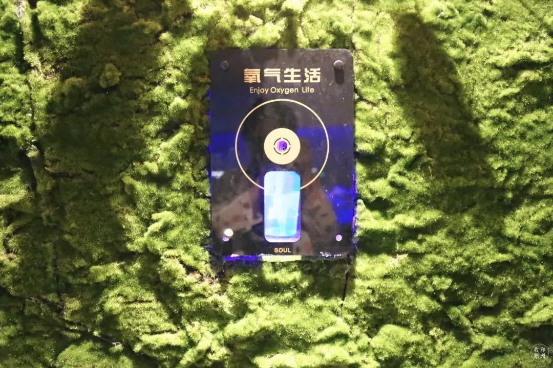 郑州汗蒸馆有哪些,郑州哪个汗蒸馆最好