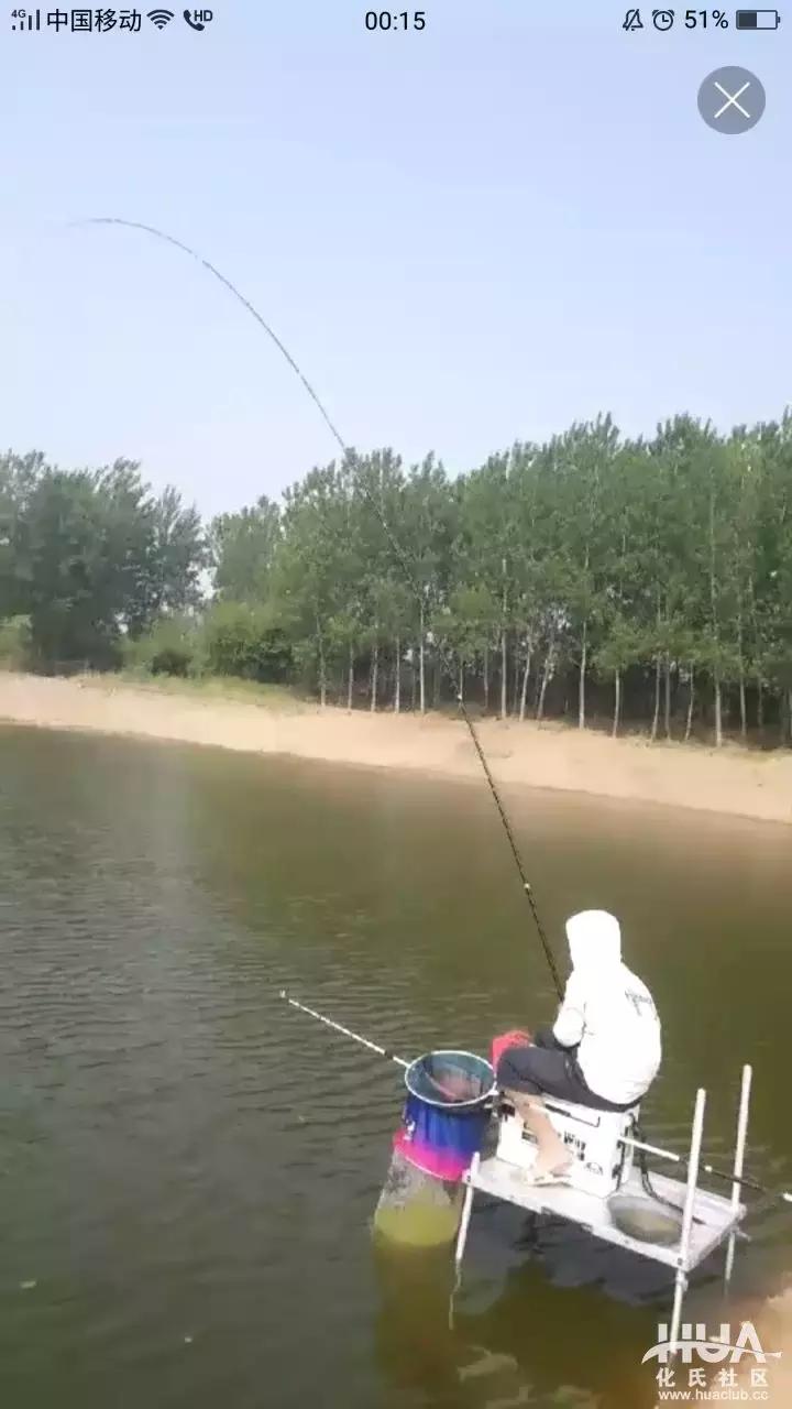 龙纹鲤大鲫大鲤测评,化氏龙纹鲤四代8米1的钓竿多少钱