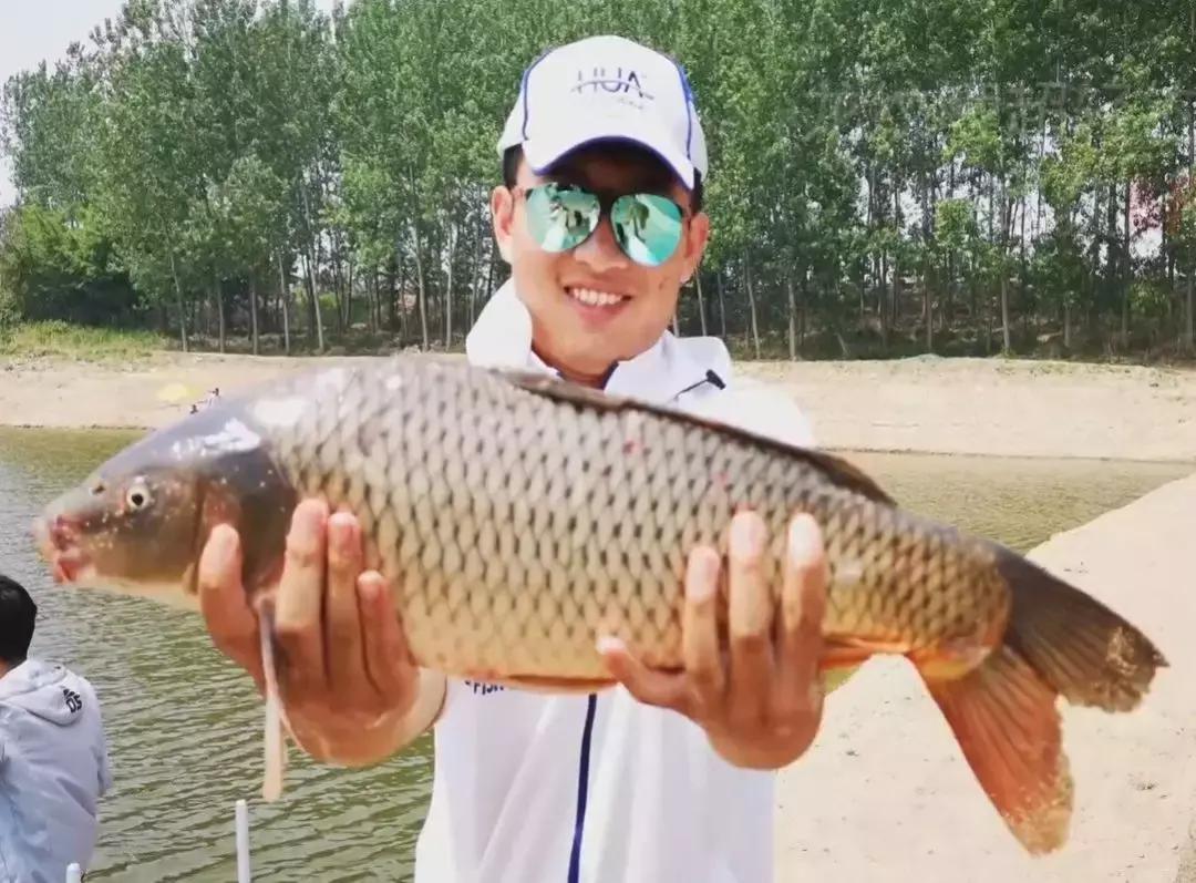 龙纹鲤大鲫大鲤测评,化氏龙纹鲤四代8米1的钓竿多少钱