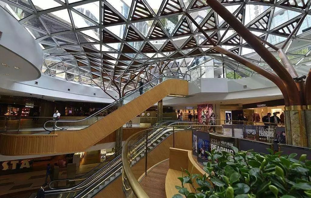 嗲！今年400家“首店”抢滩上海！不用出国，吃喝玩乐全搞定